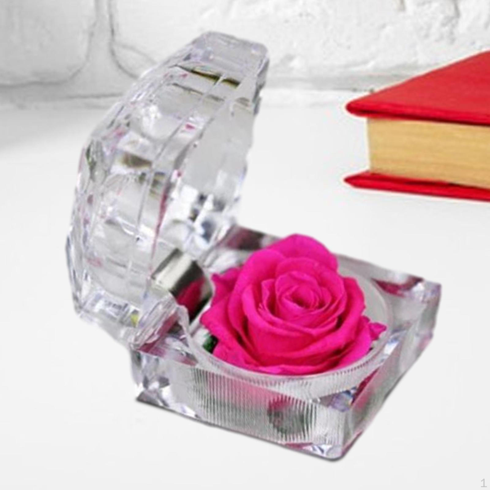 

Органайзер для колец с сохранившимися цветами, прозрачный романтический держатель для подарков, футляр для ювелирных изделий для женщин розы красного