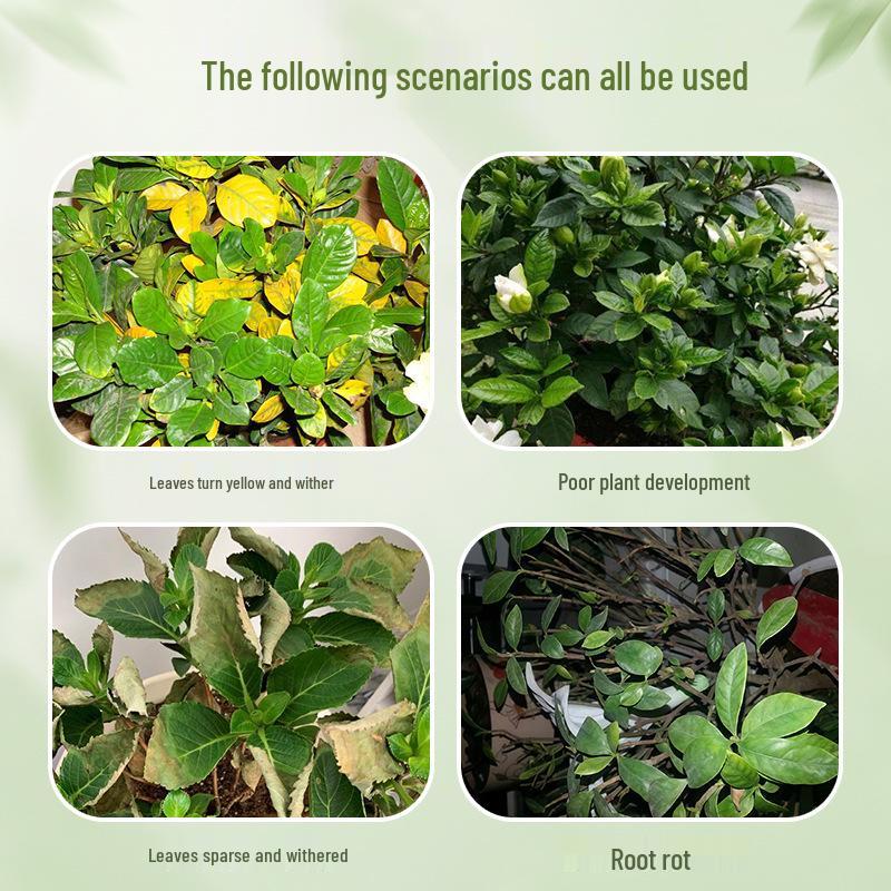 Gardenia Nutrient Spray - Green Plant Liquid Fertilizer for Indoor Hydroponics