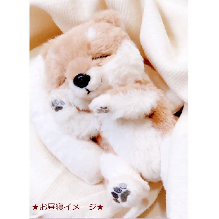 Naitou Design Institute (Naitou Design) Bean Nap Plush Medium Bean Size: Body approx. 15.5 cm (from head to bottom) Cushion length: approx. 17 m