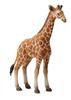 Collecta. Reticulated Giraffe Calf