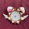 Angel Wings Badge Holder Plush Cat Ear Pins Tray Cute Itabag Decor  Anime Badge Decoration