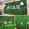 Green Artificial Lawn 40*60cm Greenery Wall Creative Simulation Lawn  Shop