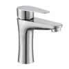 TLXT Stainless Steel Single-Handle Hot & Cold Basin Faucet