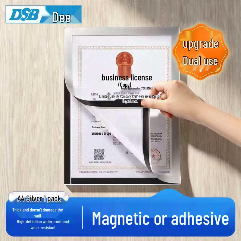 DSB Magnetic Document Display Frame