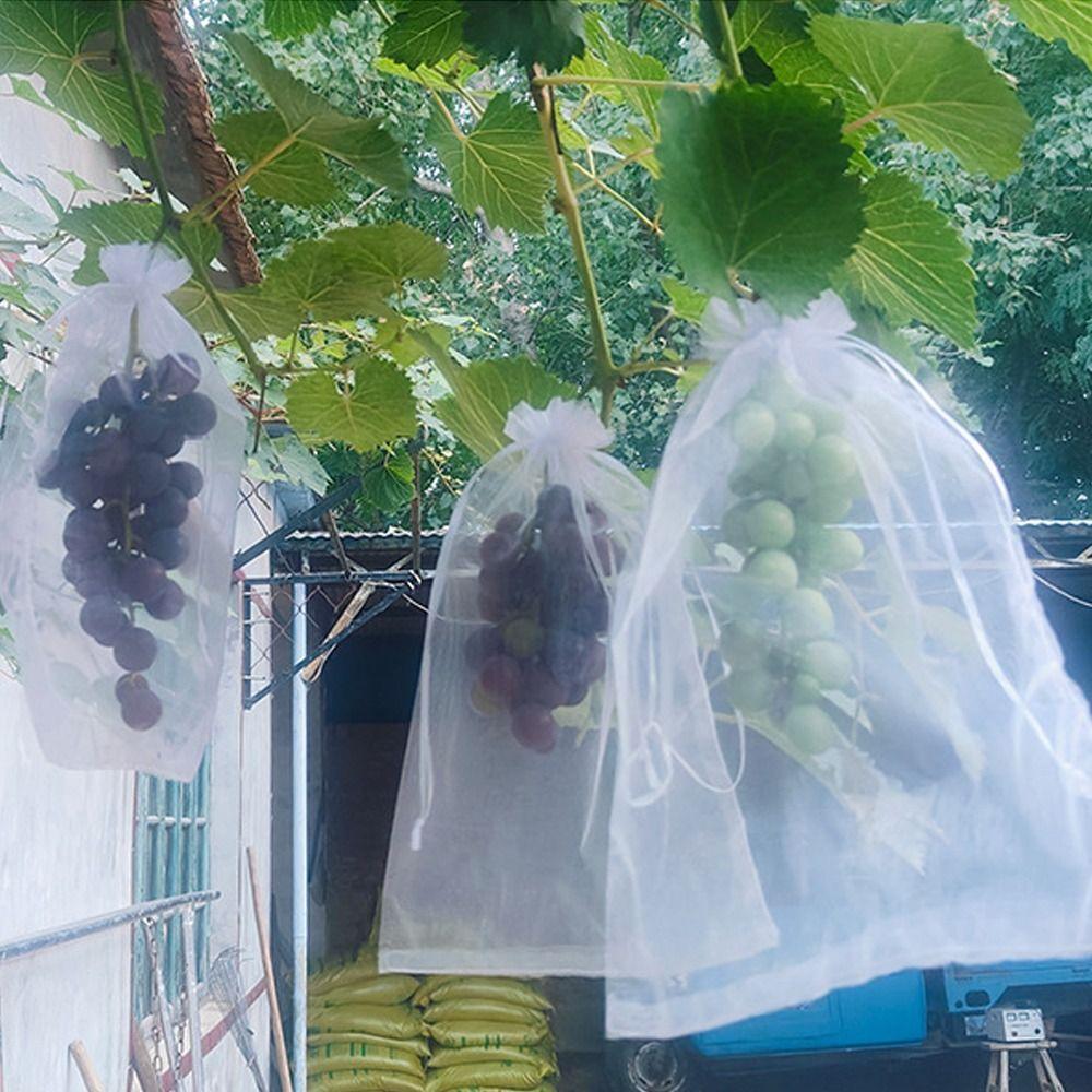 100 Stück Netz Trauben Frucht Anzuchtsäcke Weißer Traubenschutzbezug zur Schädlingsbekämpfung Vogelschutz