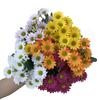 7-Head High-Quality Artificial Chamomile Daisy Bouquet for Spring Home Decor