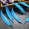50Pcsdiy Scimitar Feather Colored Feather Handicrafts Jewelry Accessories Material Feather