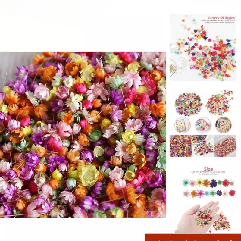 Dried Flowers Set for DIY Crafts Epoxy Resin Jewelry Making Candle Decoration Glass Art Pressed Natural Flowers Kit Wedding