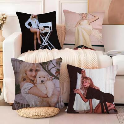 Singer S-Sabrina Carpenter Pillow Case Silky Elegant Comfort Sofa Bed Invisible Zipper