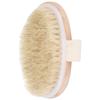 Exfoliating Body Brush Home Travel Dead Skin Dirt Removal Cleaning Shower Bath Brush