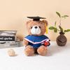 Graduation Teddy Bear In Doctor's Gown with School Emblem - Perfect for Graduation Gifts