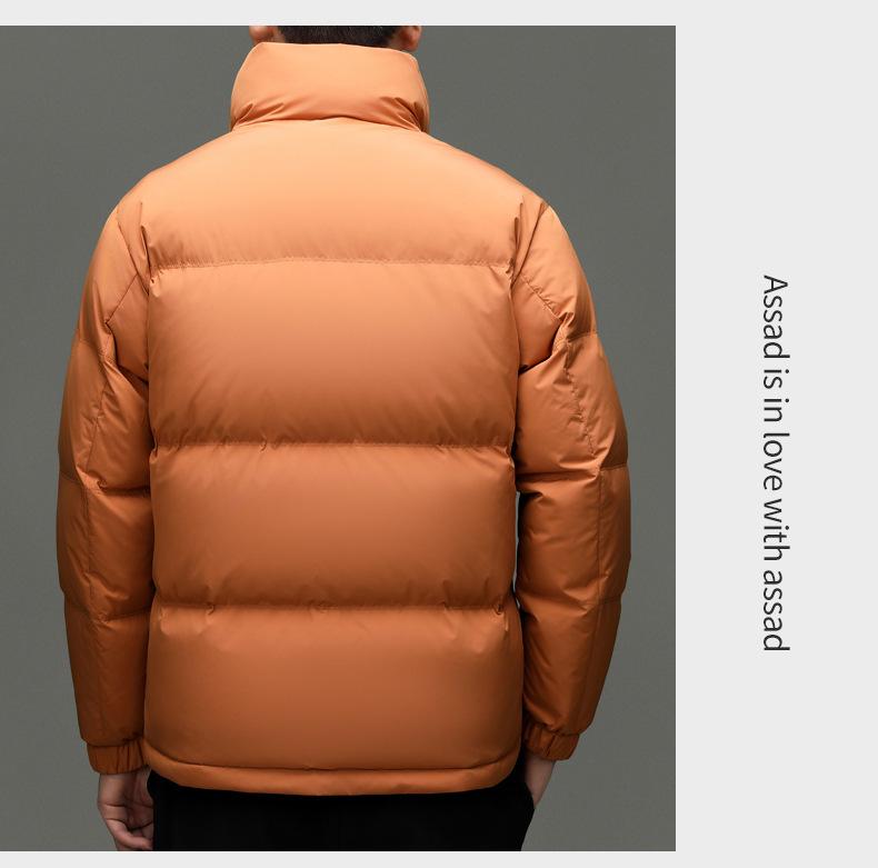 Veste d'hiver pour homme 90% duvet - Tendance, Polyvalente, Col montant Manteau chaud