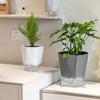 Breathable Holes Visible Water Level Flower Pot Lazy Automatic Water-Absorbing Flowerpot Garden Supplies