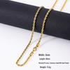 European & American Twist Chain Luxury Titanium Steel Clavicle Necklace