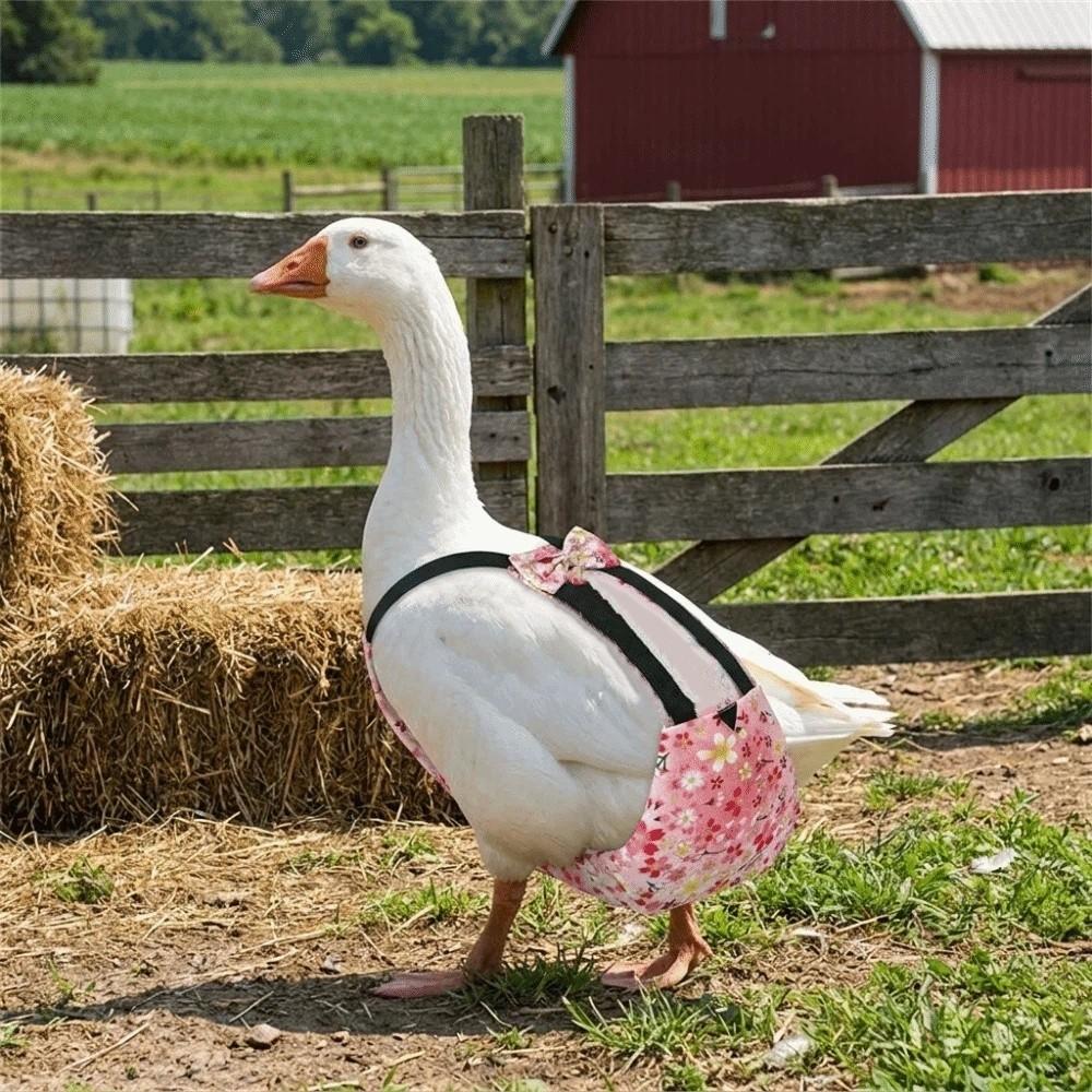 Adjustable Duck Diapers Reusable Chicken Physiological Pants Creative Poultry Nappy Pet Supplies