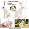 Oenux Lovely Farm Rabbit Bunny Model Action Figure Figurine Wild Desert Cottontail Hare Cute PVC Decoration Education Kid Toy