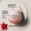 Hanyul Red Rice Hydrating Cream With Ceramide 1.86 Oz 55 Ml