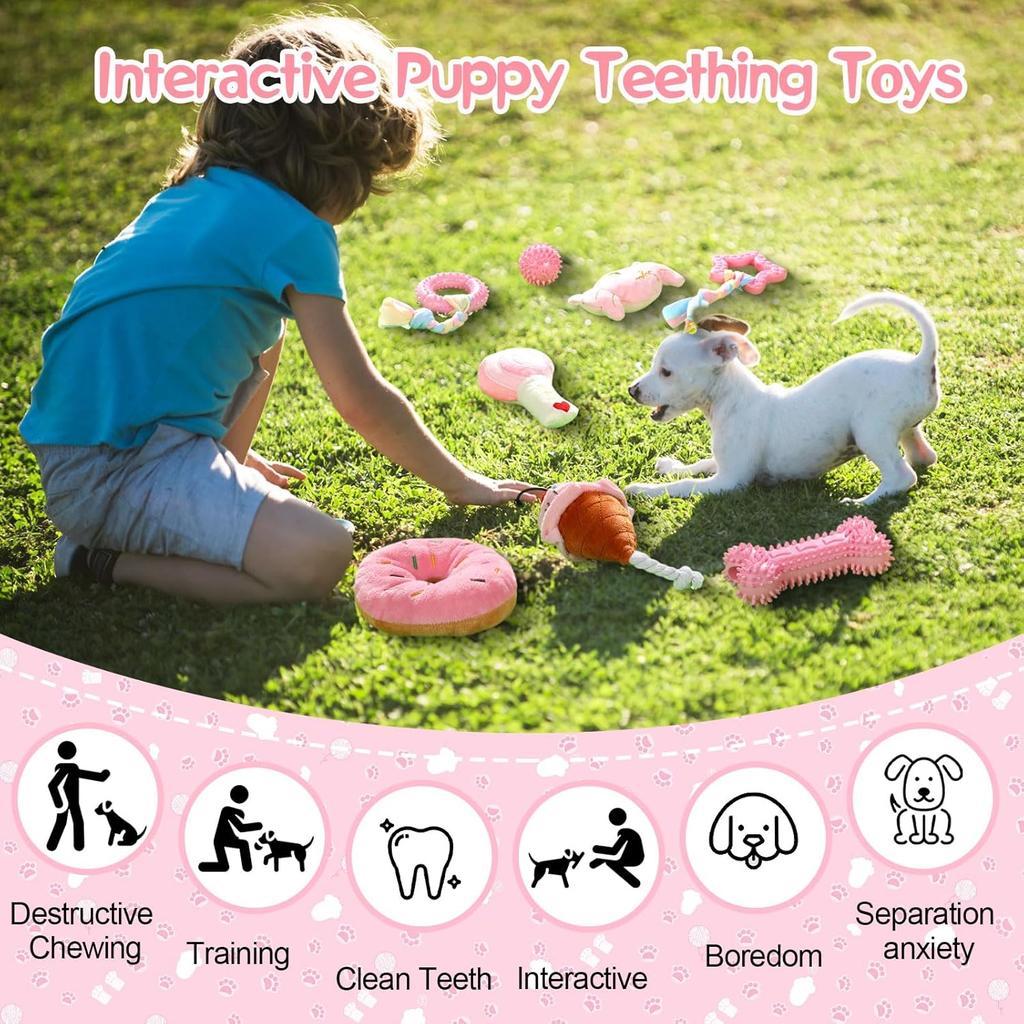 14 Pack Puppy Teething Toys, Chew Toys for Small Dogs Puppy Toys Pink Dog Stuff with Soft Rubber Balls and Colorful Ropes for Small Breed Interactive