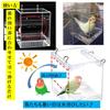 (ST TS) Parakeet/Parrot Bathing Container, Hanging Acrylic Case, Transparent Bathtub for Small Birds (Medium Size)