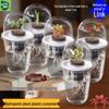 Hydroponic Seedling Pot for Succulents, Sweet Potatoes, Garlic, and Vegetables - Root System Transplanting Basket