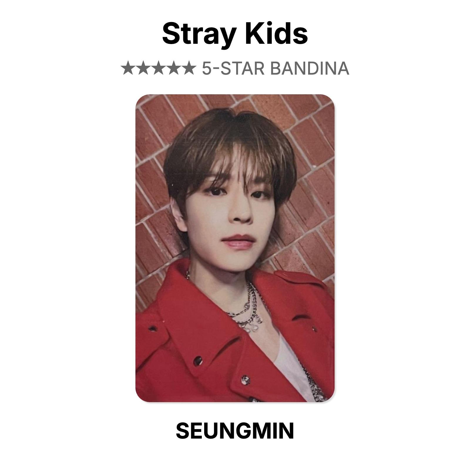 Stray Kids 5-STAR BANDINA Официальная фотокарточка SEUNGMIN