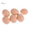 Puntos Kids 6Pcs Simulation Artificial Egg Easter DIY Painting Crafts Pretend Play Toy