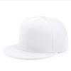 Men's Solid Color Flat Brim Baseball Cap - Spring/Summer Woolen Hip Hop Hat