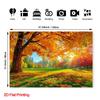 2D Fall Park Backdrop Nature Scenery Photo Booth Background for Thanksgiving