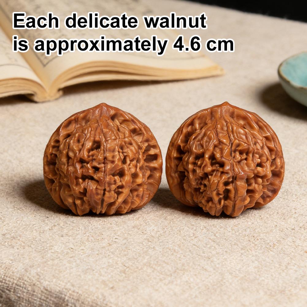 New Wenwan Walnuts Toy Creative Handmade Walnut Design for Hand Relaxation Toys Stress Relief Toys for Daily Work Toy