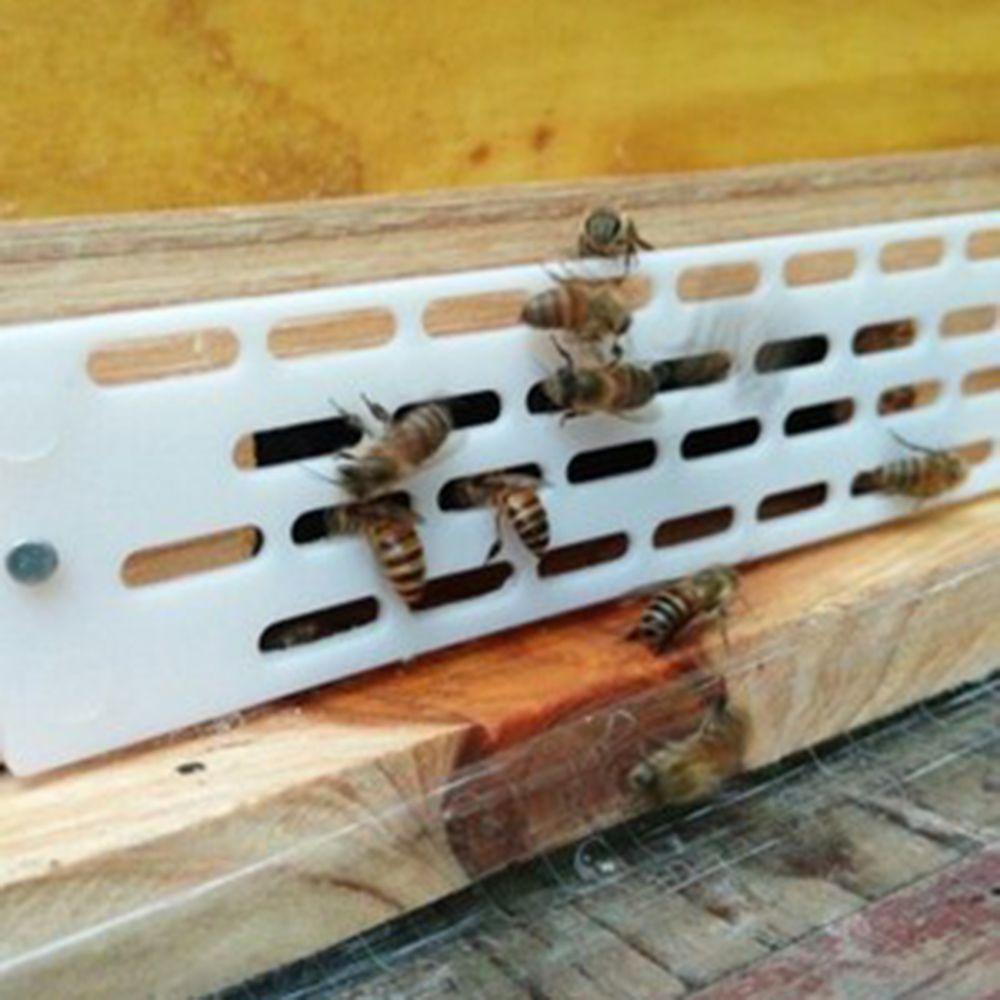 Garden Bees Queen Hive Equipment Prevent Spacer Frame Beekeeping Tool Anti Escape 10Pcs