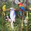Parrot Tree Decoration: Cross-border Bird Model Resin Ornament for Courtyard