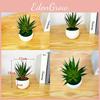 Gladiolus Artificial Green Plant Pot With Injection Molded Pvc For Home Office Interior