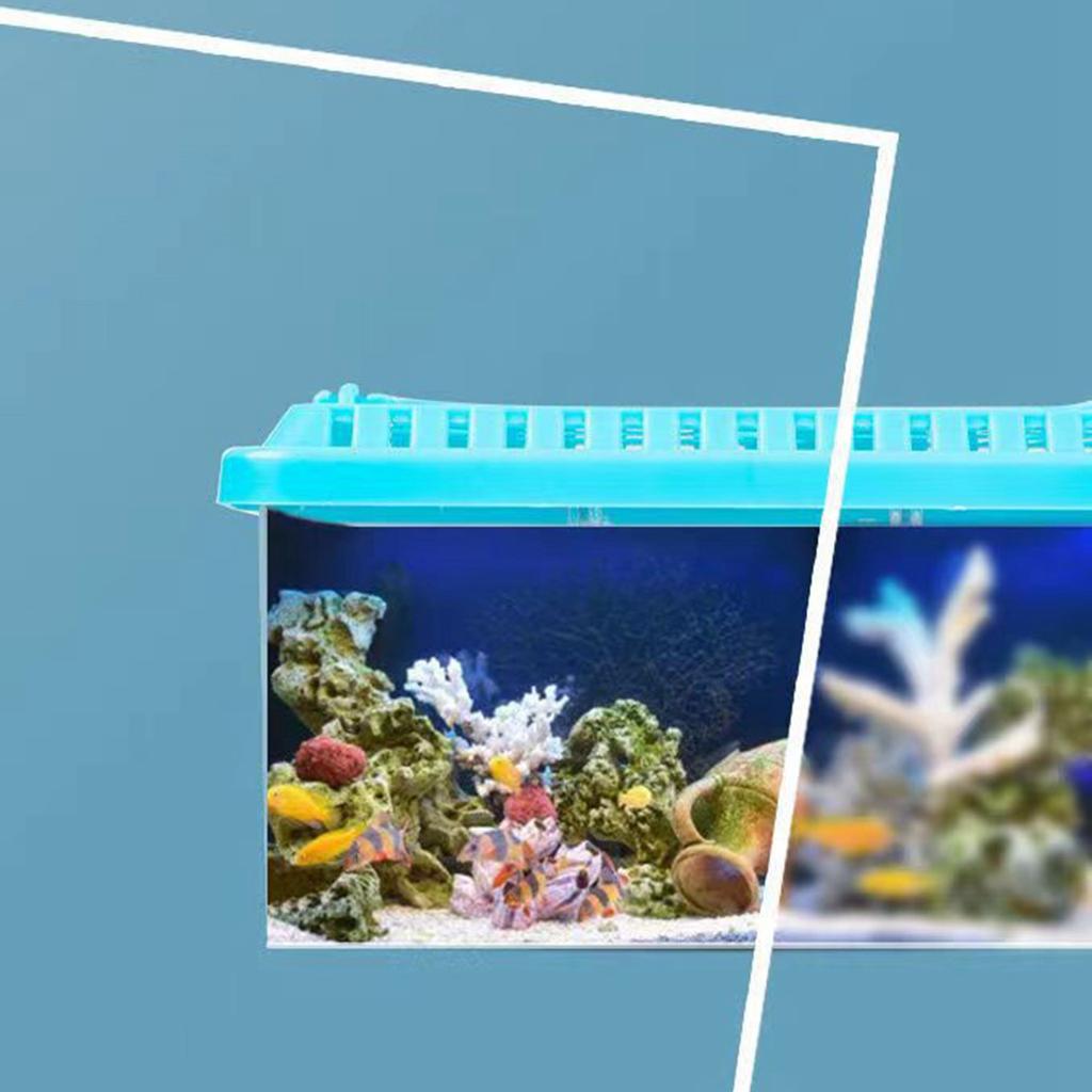 Acrylic Fish Tank Detachable 3 Areas Small Aquarium Desktop Ornamental Transparent Fish Tank for Hom