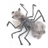 Halloween Pet Costume Spider Transformation Outfit Dogs Cats Universal Size S M L Gray Brown Black Purple