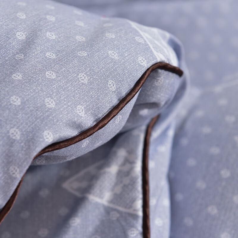 Jieliya Brushed Feather Silk Quilt