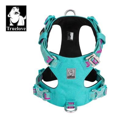 Köpek – Köpek Tasmaları ve Tasma Kayışları