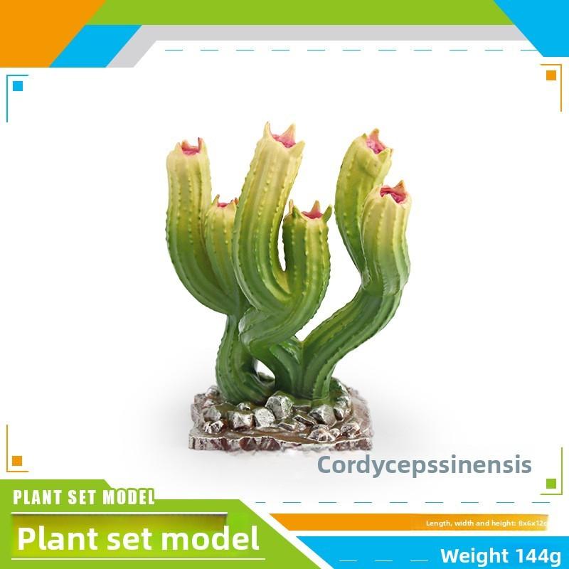 Coleção de Modelos de Plantas Realistas Com Material de PVC Para Decoração de Casa e Design de Terrário