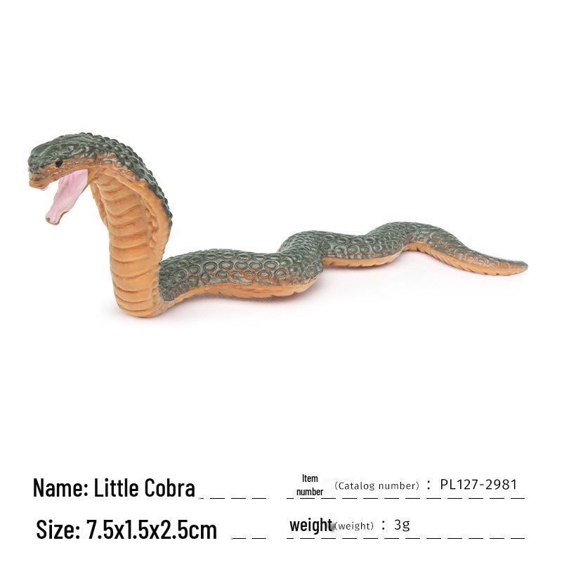 Wild Animal Model: Chihuahua, Proboscis Monkey, Crowned Lemur, Lizard, Crocodile - Children s Cognitive Set