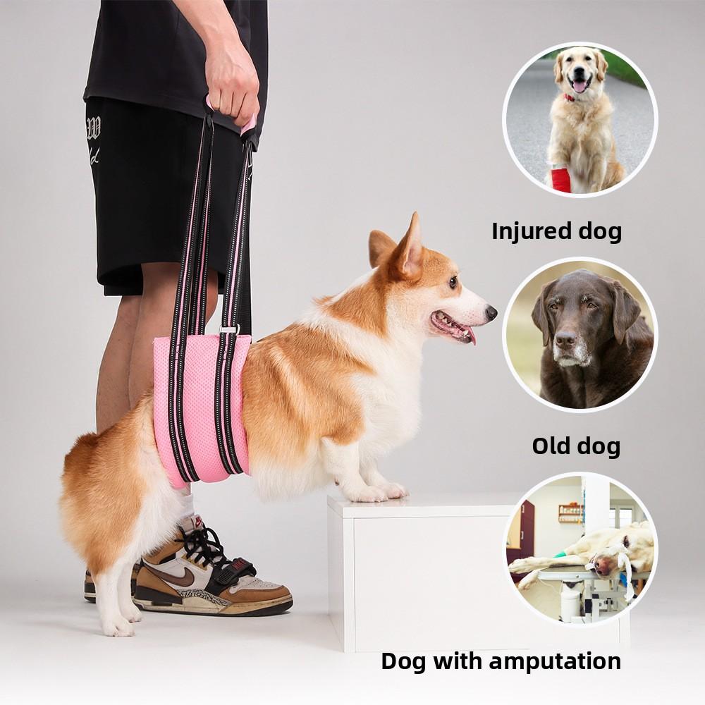Hunde-Hilfsgurt, Atmungsaktiver und bequemer Haustier-Rehabilitations-Brust- und Rückengurt, Verstellbare Leine