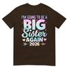 Im Going To Be A Big Sister Again 2026 Baby Announceunisext TShirt
