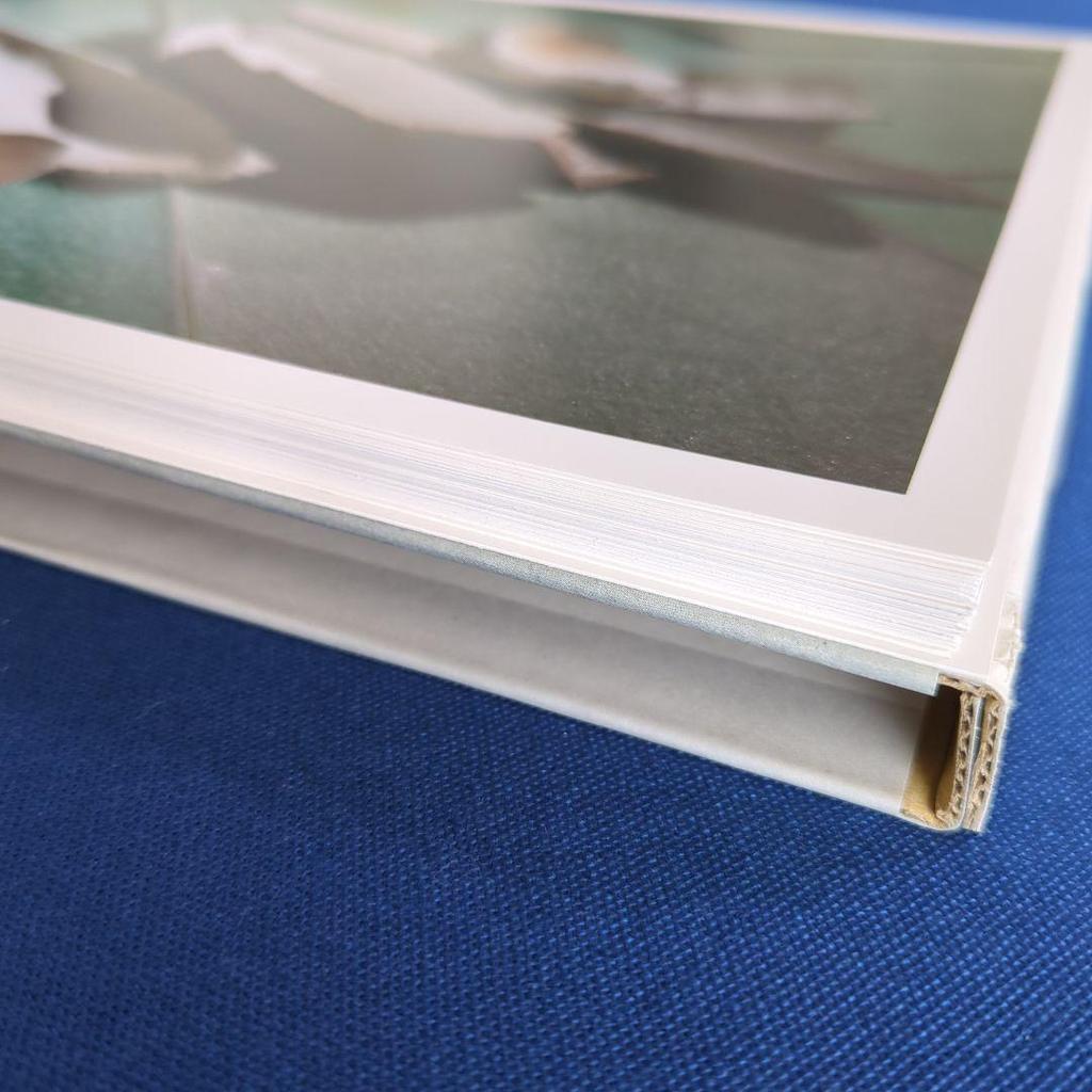 [USED] Catalog of Machiko Ogawa's Works: Newborn Vessels (2011, Toyota Municipal Museum of Art)