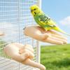 Erwachsene Handproportionen Papagei Vogel Sitzstange Stand Waschenbar Papagei Falsche Hand Sitzstange für Papagei Vogel