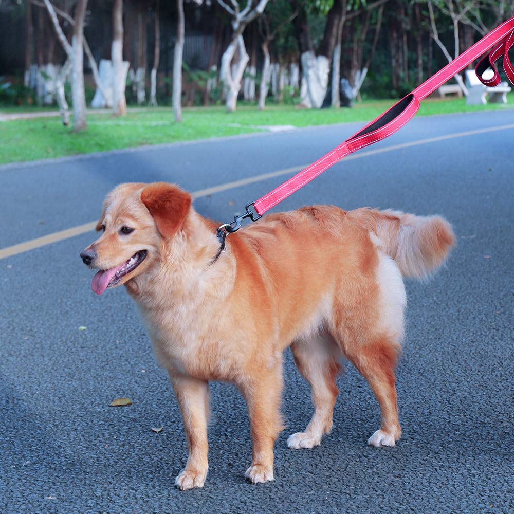 MOE Dog Leash, Suitable for Large and Medium Dogs, 2 Handles, Adjustable Long Leash, Reflective Nylon Leash, 1.5m Long, for Walking and Training (Red)