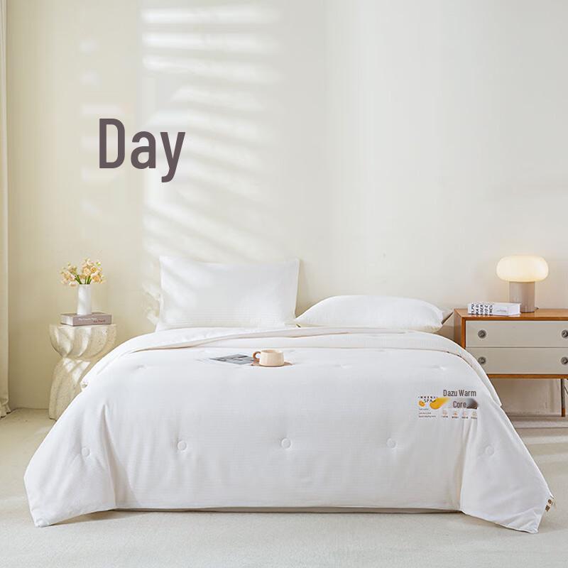 

Louis Carol Soy Protein Jacquard Winter Quilt