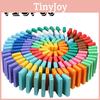 Large Wooden Domino Set For Children And Adults Educational And Intellectual Building Blocks Toy Brand Chengchen 120 New Pieces