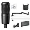 Audio-Technica AT2020 Condenser Microphone with Thick Desk Arm Stand