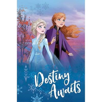 Destiny Awaits Maxi Poster
