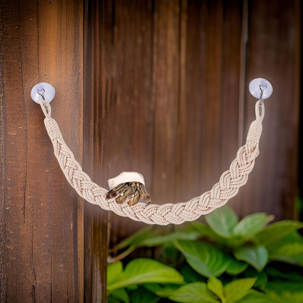 2pack Climbing Rope Snake Climbing Equipment Tree Frog Habitat Enhancement for Exotic Pet Enrichment