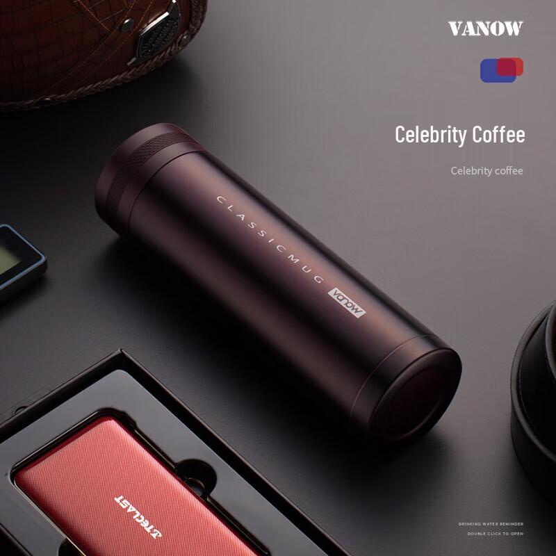 Vanow 500ml Stainless Steel Insulated Tea Infuser Bottle