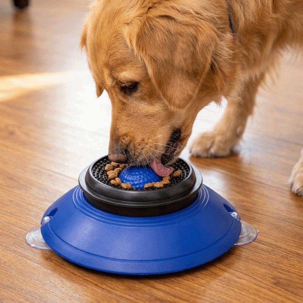 Anti-Choking Dog Licking Bowl Non-Slip Base Slow Feeder Dog Bowl Pet Feeding Bowl Puppy Training